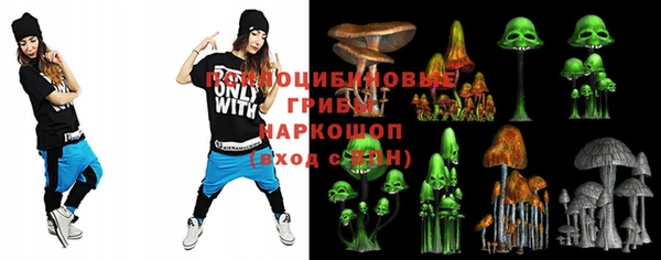 таблы Козельск