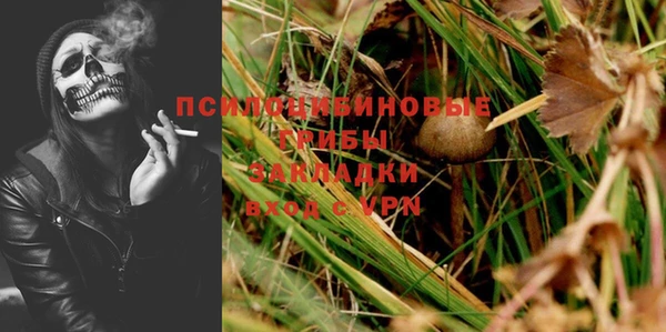 mdpv Кодинск