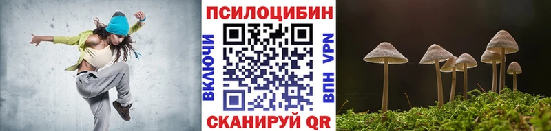 Купить закладки  Кондопога  Галлюциногенные грибы прущие грибы 