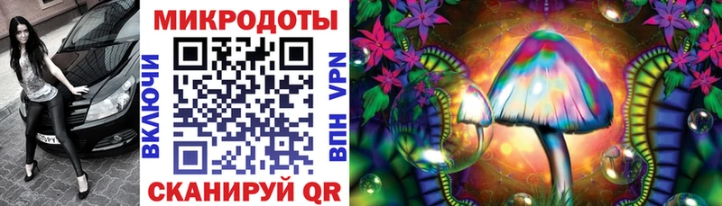 Псилоцибиновые грибы Psilocybe Кондопога
